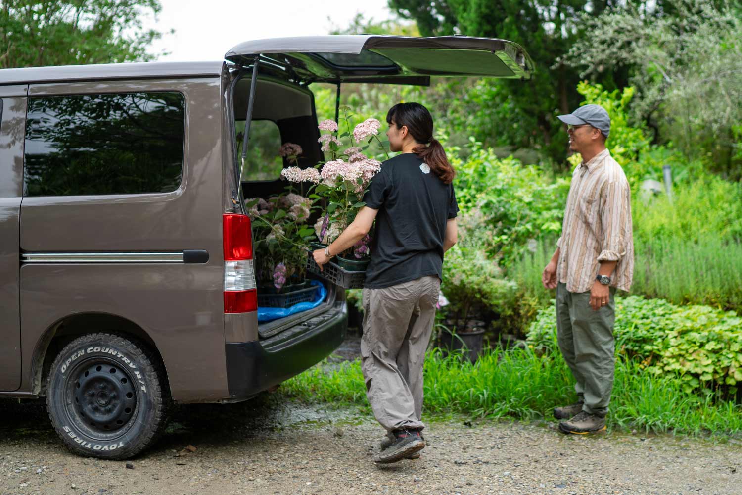 植物を積み込む