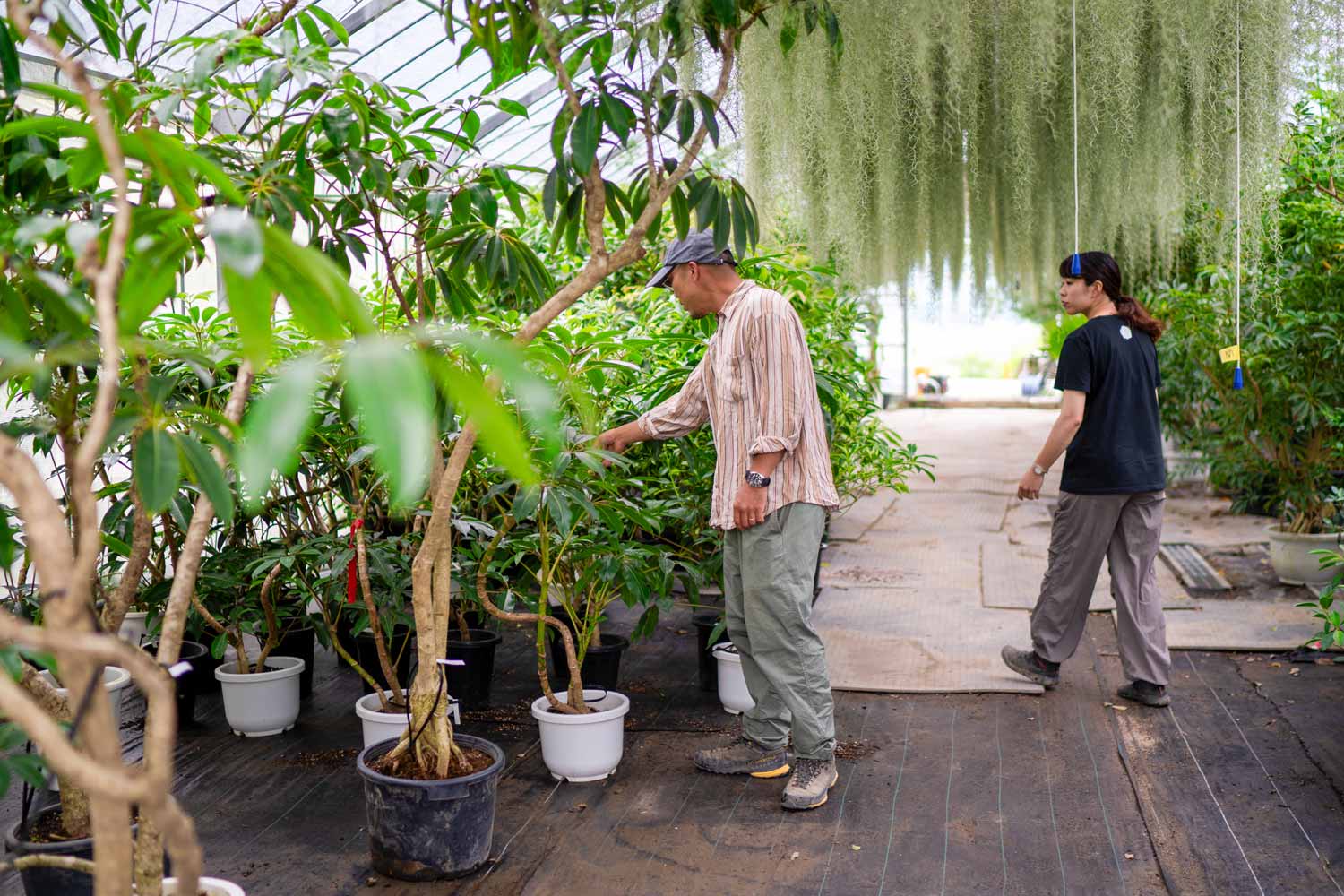 植物を選定するお二人