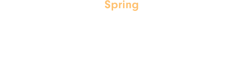 Spring サイズ感、車内空間、維持費 すべてがちょうどいい LAND CRUISER 95 PRADO