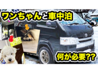 動画 関連の記事 ニュース レビュー 中古車 新車販売のflex