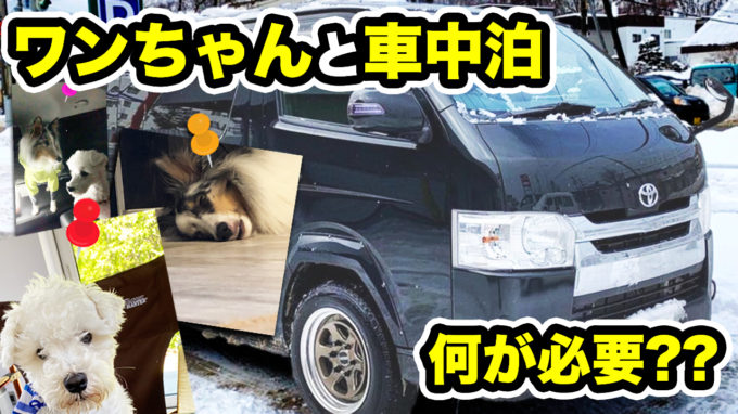 【愛犬とハイエースで車中泊】北海道で2匹のワンコと旅をする専門店スタッフに色々聞いてみたら、カスタムの悩みが解消…！？【動画】